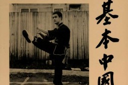 基本中国拳法.Chinese Gung Fu.the philosophical art of self defense.李小龙著.英文版 PDF电子版下载